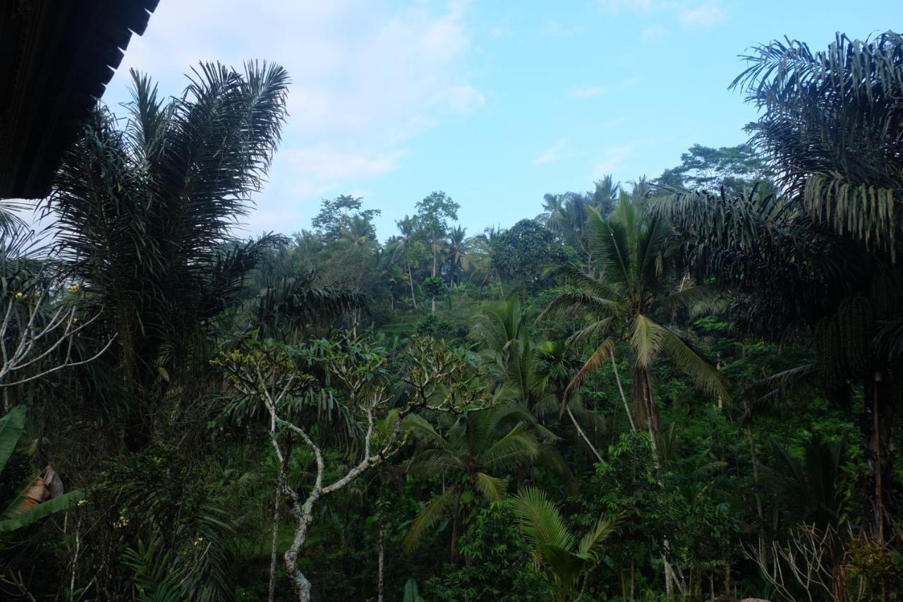 Gunung Kawi House Tegallalang (Bali) Exterior foto