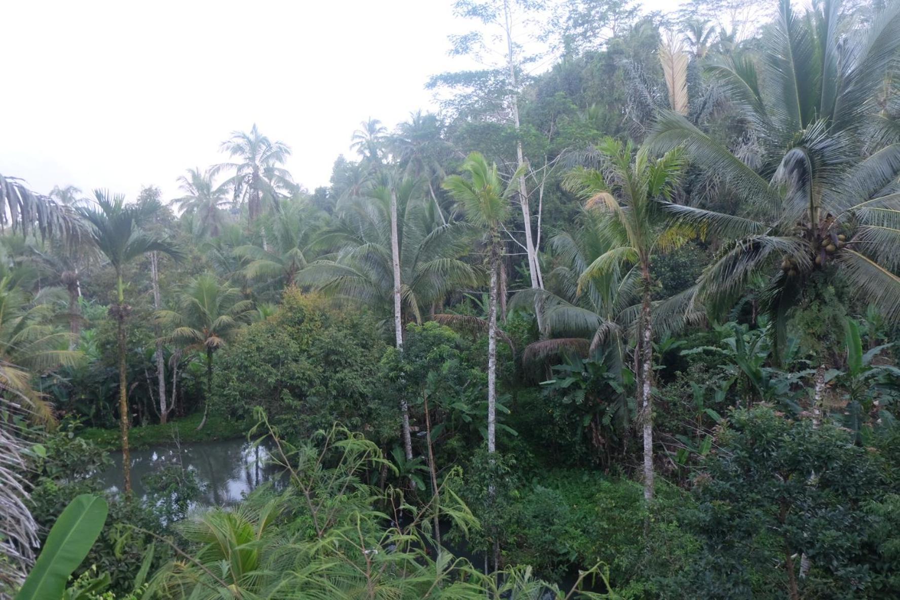 Gunung Kawi House Tegallalang (Bali) Exterior foto