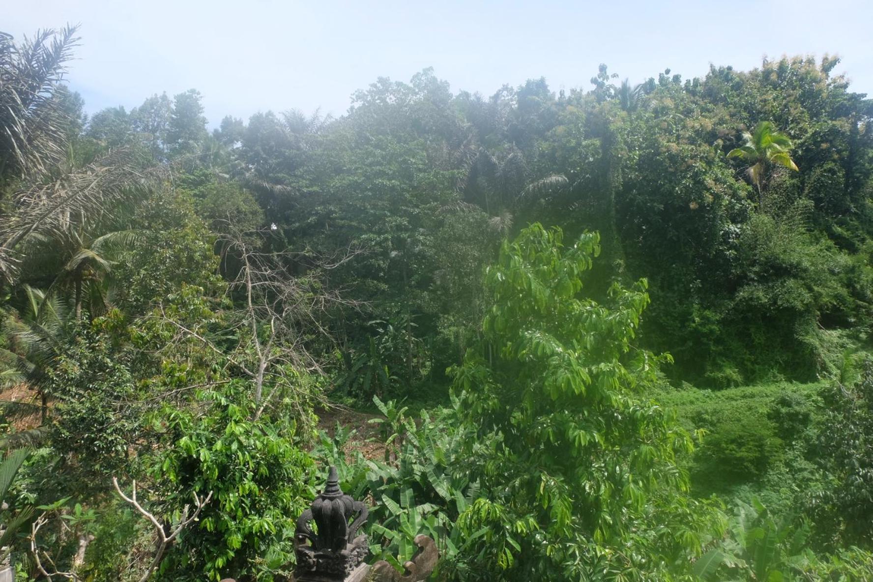 Gunung Kawi House Tegallalang (Bali) Exterior foto