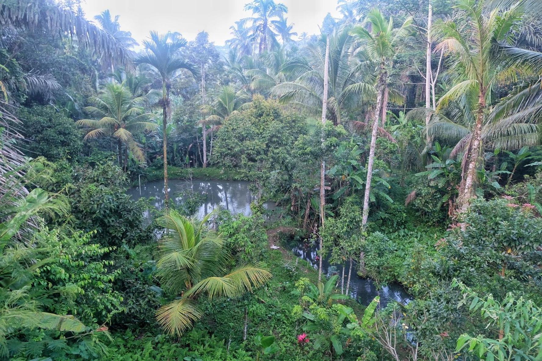 Gunung Kawi House Tegallalang (Bali) Exterior foto
