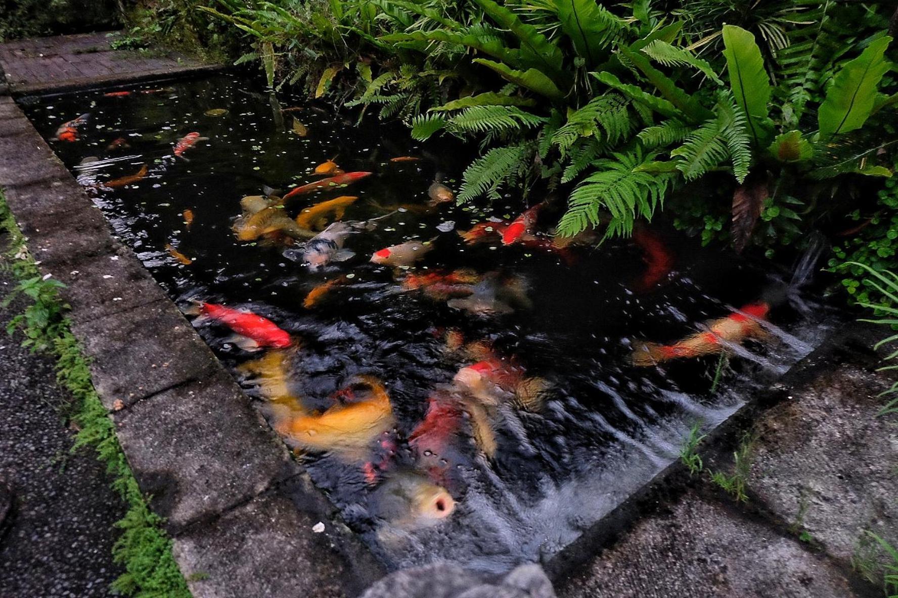 Gunung Kawi House Tegallalang (Bali) Exterior foto